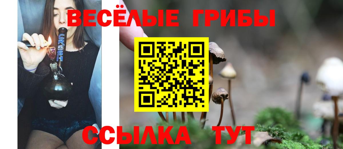 Котельники  Галлюциногенные грибы Magic Shrooms  Вход с VPN 